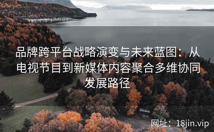 品牌跨平台战略演变与未来蓝图：从电视节目到新媒体内容聚合多维协同发展路径