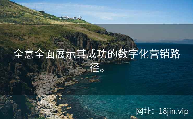 全意全面展示其成功的数字化营销路径。