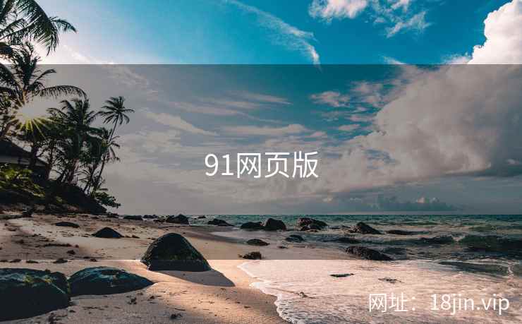 91网页版