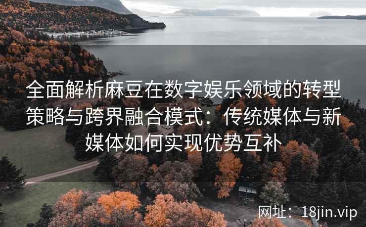 全面解析麻豆在数字娱乐领域的转型策略与跨界融合模式：传统媒体与新媒体如何实现优势互补