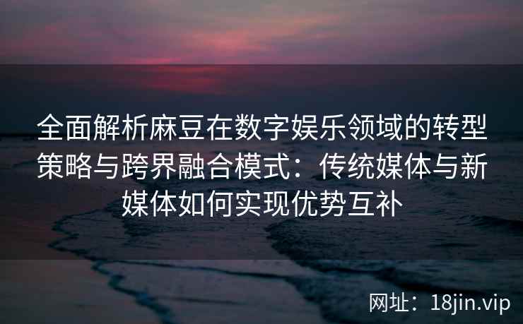 全面解析麻豆在数字娱乐领域的转型策略与跨界融合模式：传统媒体与新媒体如何实现优势互补