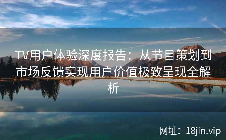 TV用户体验深度报告：从节目策划到市场反馈实现用户价值极致呈现全解析