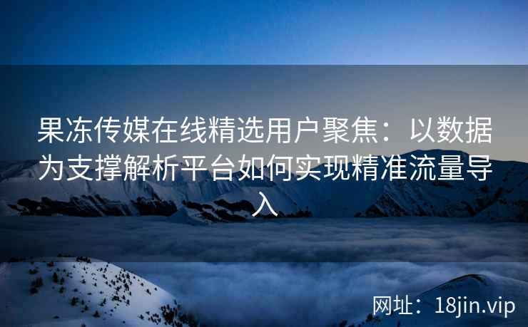 果冻传媒在线精选用户聚焦：以数据为支撑解析平台如何实现精准流量导入